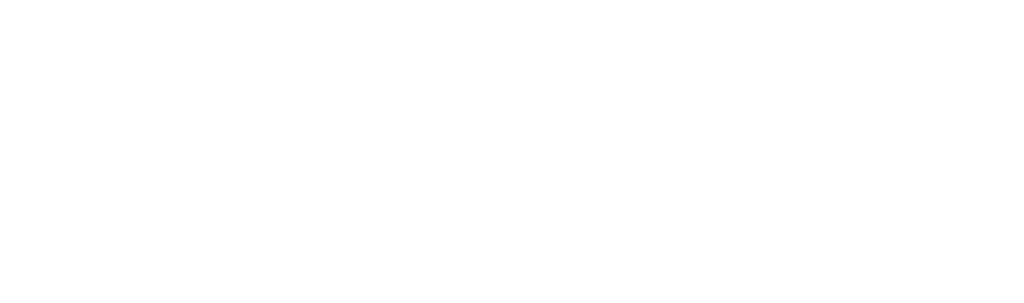 logo white transparent